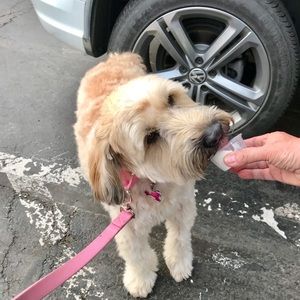 Meet your Posher, Maria